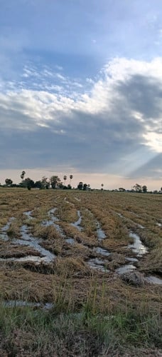 ដីលក់បន្ទាន់តម្លៃក្រោមទីផ្សារ