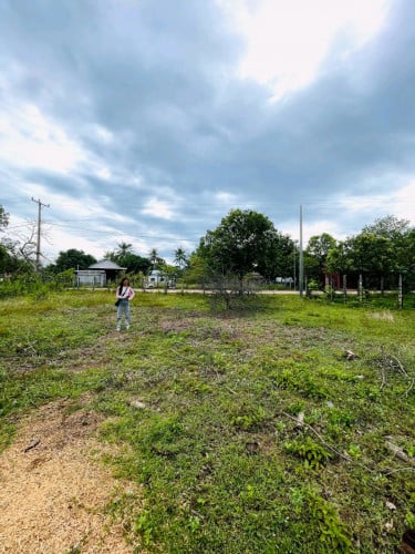 ជាប់ផ្លូវបេតុង(លក់ថោក)