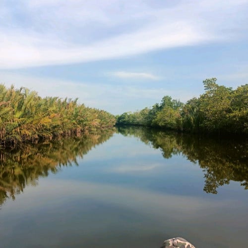 ដីជាប់ព្រែកស្រែអំបិល