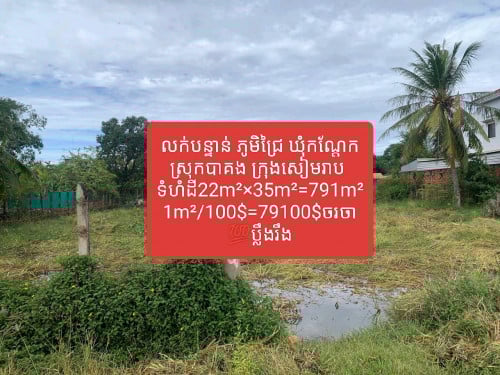 ដីលក់បន្ទាន់ ភូមិជ្រៃ ឃុំកណ្តែក ស្រុកបាគង ក្រុងសៀមរាប ទំហំដី22m²×35m²=791m²1m²/100$=79100$ចរចា