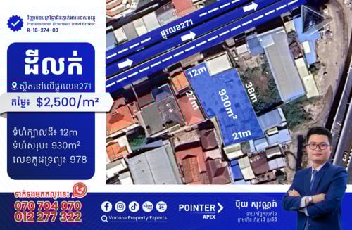 ដីលក់នៅលើផ្លូវ271