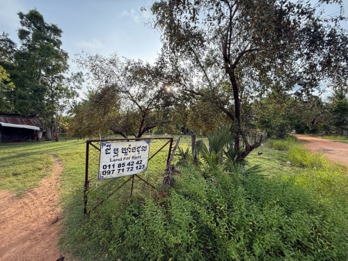 ដីជួល ទំហំជិត១ហិកតា នៅសាលាលេខ5 Land Rent at Sala Lek5 (Owner)