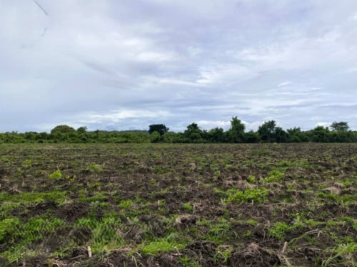 🏦Land for Urgent sale (Negotiable), ABA Loan Available