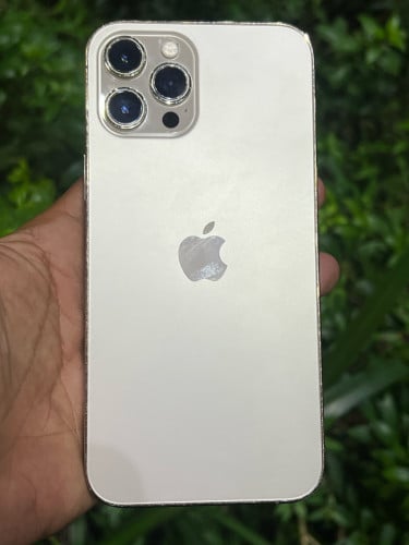 12 Pro Max ZA 256G zin all sim2