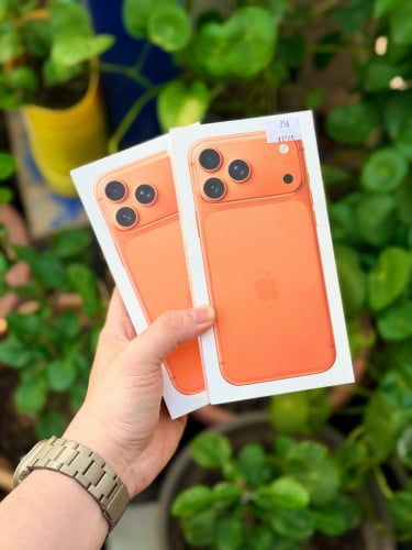 17 Pro Max LL/A NO ACTIVE តម្លៃល្អណាស់