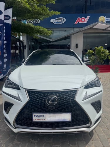 2020 Lexus NX300T F-Sport AWD