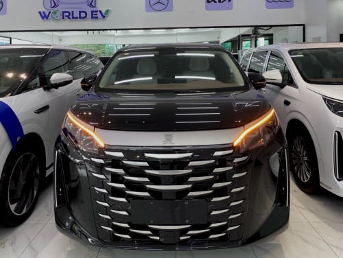 BYD xia excellence top options