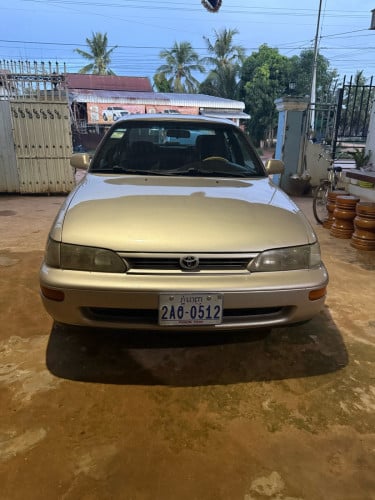 Sell 94 ពណ៌មាស