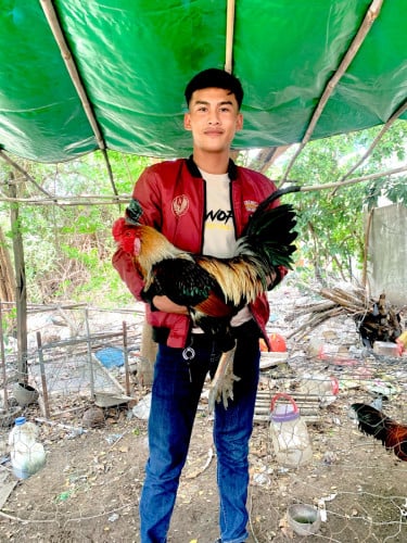 មិនសម្រាប់លក់