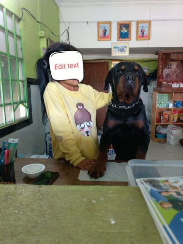 លក់ រ៉ុកវែល័រ ឈ្មោល