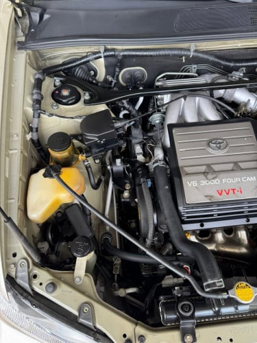 Highlander Highlander 2002limited ប៉ុង 1ពណ៌ ទឹក​មាស​