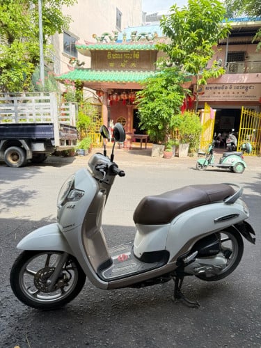 Honda Scoopy