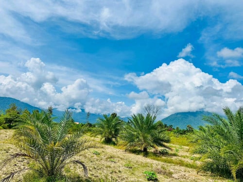 ដីលក់បន្ទាន់នៅជាប់ស្ទឹងធំ នៅជិតរម្យណីយដ្ឋានទេសចរណ៍ទឹកធ្លាក់ថ្មក្រាល