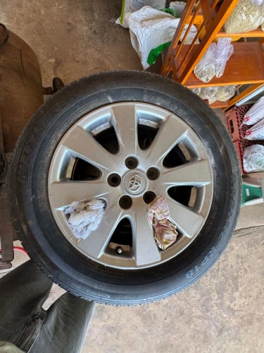 យ៉ាន់និងសំបក​ លក់