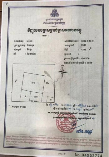 ដីផ្ទះ និង ឃ្លាំងលក់ តម្លៃល្អ ក្រោយសកលវិទ្យាល័យកម្ពុជា