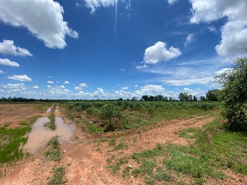 តំលៃពិសេស