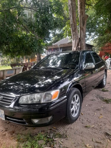 ឆ្លាម 1998 ABS