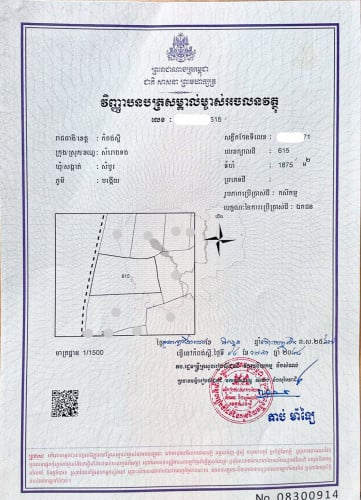 ដី លក់តម្លៃល្អ- តម្លៃ: $32/m2 ចុះសល់ $27(ចរចា)