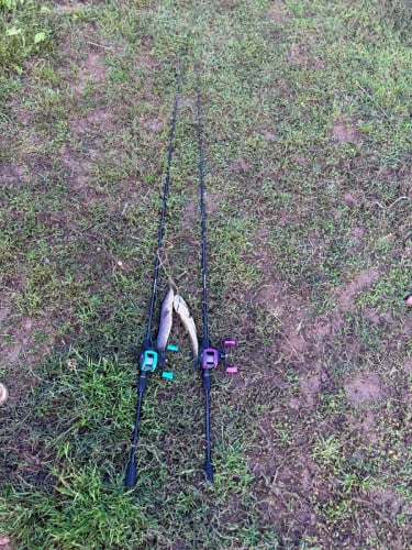 ចង់លក់មួយចេញ.ដងសន្ទូចថ្មី98%បងៗ telegram លេខនៅខាងក្រោម