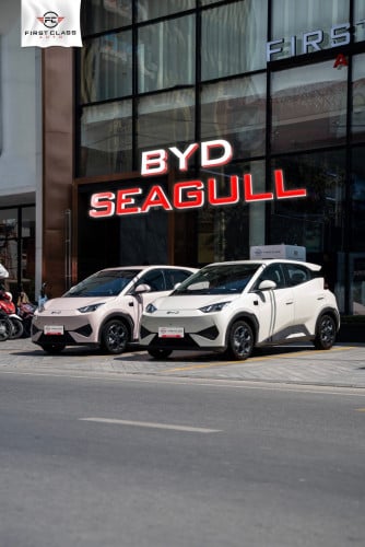 🚘 BYD Seagull - New Version ✅