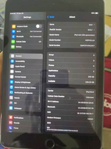 Ipad mini 5 256g sim+wifi ll/a zin all