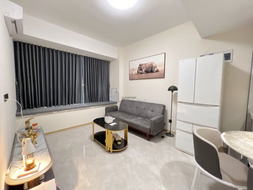 New 1 Bedroom Condo For Rent In Pinnacle Condo