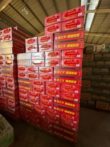 មានលក់ភេជ្ជះចិនគ្រប់ប្រភេទ