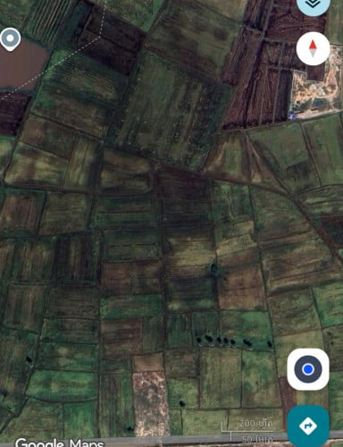 ដីសែលក់