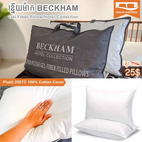 ខ្នើយសណ្ខាគារ