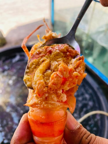 បង្កងធម្មជាតិខេត្តតាកែវ