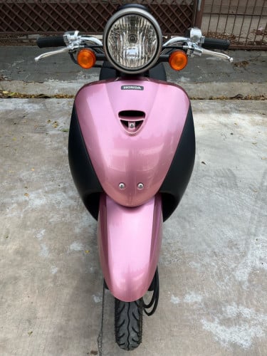 កូនទាជប៉ុន ប្រភេទមេម៉ូតូ លក់