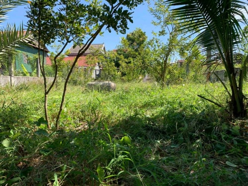 ដីលក់ជាប់ទន្លេរ