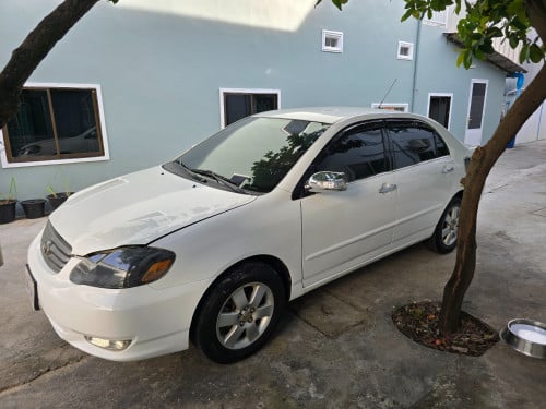 លក់ corolla 2003 ពណ៌ស ពូកស្បែក ម៉ាញ៉េអេក្រង់ធំ យកទៅជិះហ្មង