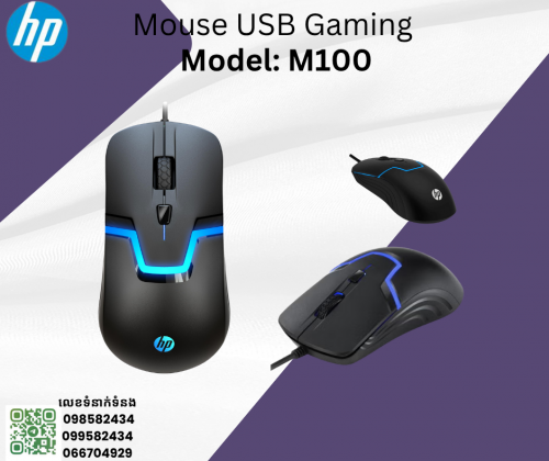 mouse