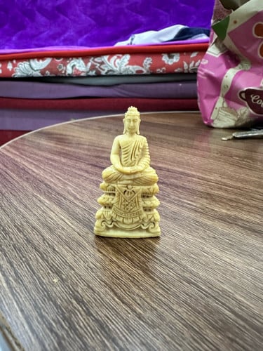 ជីវបន្តោងព្រះសាងពីភ្លុក សាច់ស្អាត