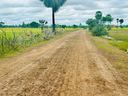 ដីលក់បន្ទាន់