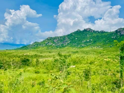 ដីចំការជិតជើងភ្នំតំលៃធូរ