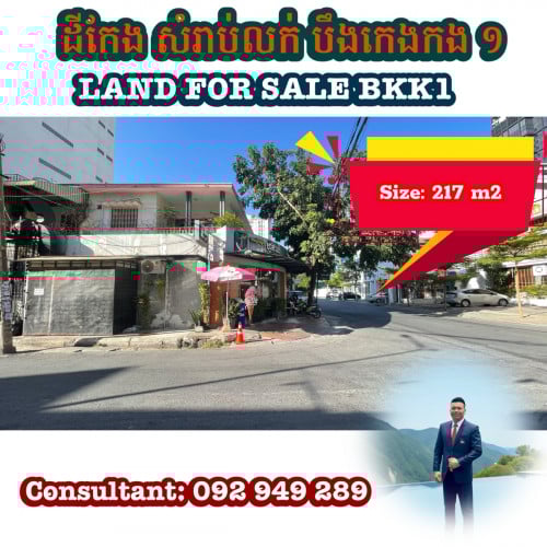 ដីកែងលក់បឹងកេងកង១ / Land for sale Bkk1 ( Conner)