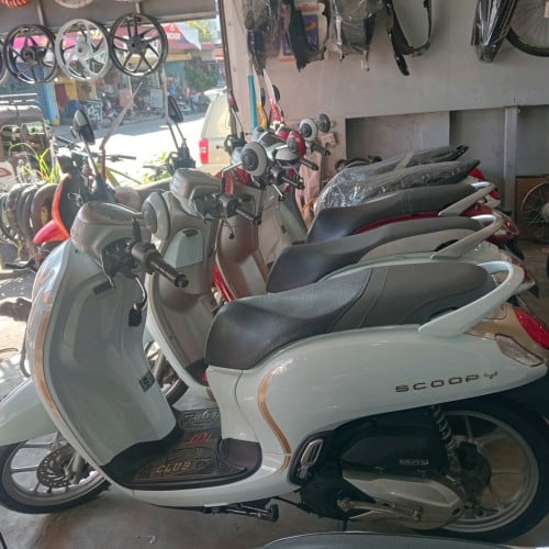 021សំណុំសុីន ធានាកាតគ្រីត្រឹមត្រូវ