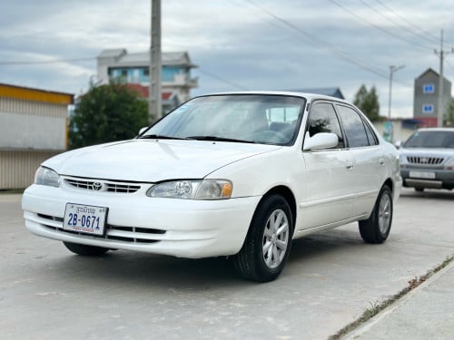 Corolla 99