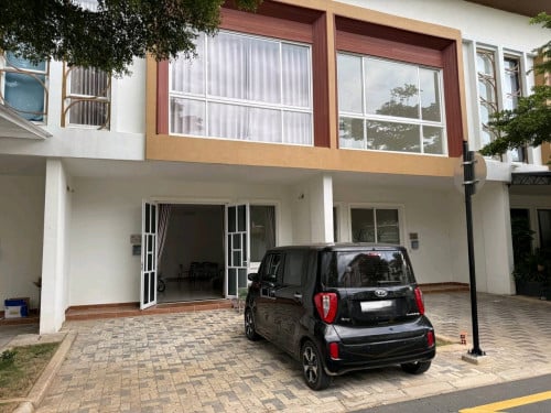 Orkide 6A Rotheca for sale