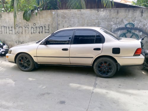 Toyota Corolla ,DX,ឆ្នាំ,១៩៩៥,ពណ៌,ទឹកមាស,ស្អាតបង,