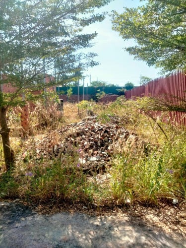 ដីលក់នៅសៀមរាប