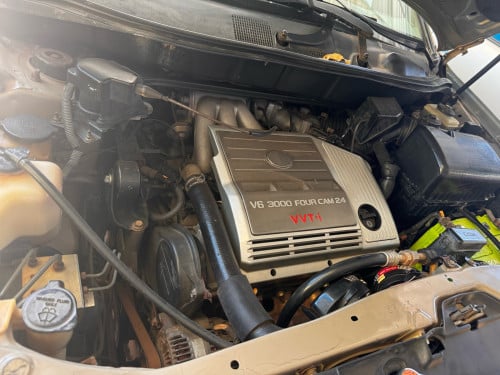 ឡានលក់ប្រញាប់ខ្លាំងណាស់