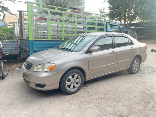 ឡានថ្មីបងប្អូន​ជួយដាក់ម៉ូយផង​