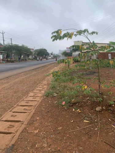 ដីលក់ជាប់មណ្ឌលសុខភាពនិងសាលារៀនដារផ្សារផ្លេូវជាតិលេខ7