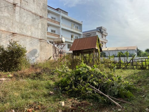 30ម៉ ចុះពីផ្លូវជាសុីម ដីក្បាល 15m x 22m ប្លង់រឹង