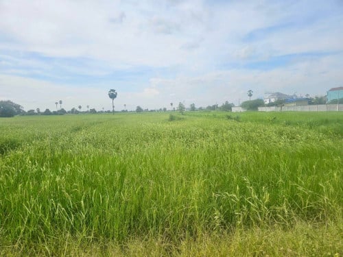 ដីលក់បន្ទាន់ ៖ នៅជិតបុរី, ភូមិត្រពាំងចក, សង្កាត់ព្រៃវែង ខណ្ឌដង្កោ​ រាជធានីភ្នំពេញ