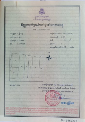 ដីលក់បន្ទាន់ ក្រោមទីផ្សា