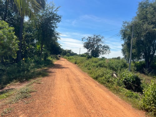 ដីលក់នៅសៀមរាបធូរជាងគេ